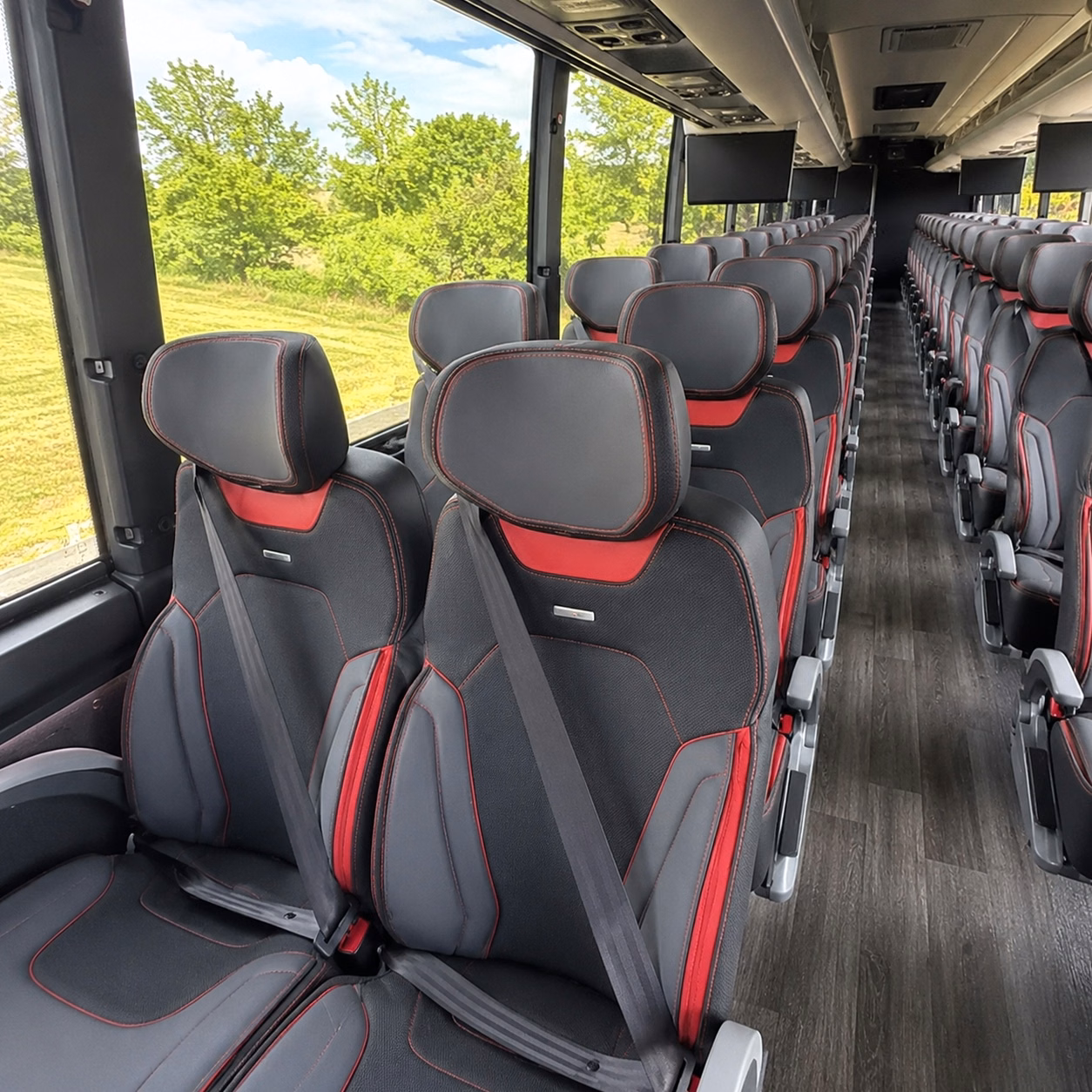 school bus rentals for phoenix zoo and wildlife field trips